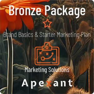 Marketing: Bronze Package Solution - Brand Basics & Starter Marketing Plan